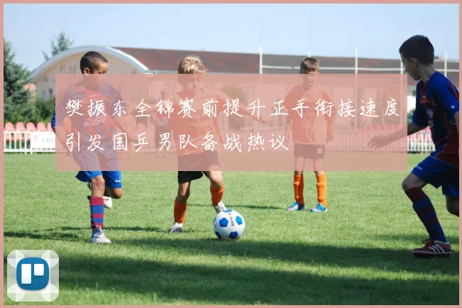 樊振东全锦赛前提升正手衔接速度引发国乒男队备战热议