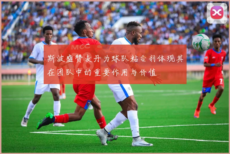 斯波盛赞麦丹为球队粘合剂体现其在团队中的重要作用与价值