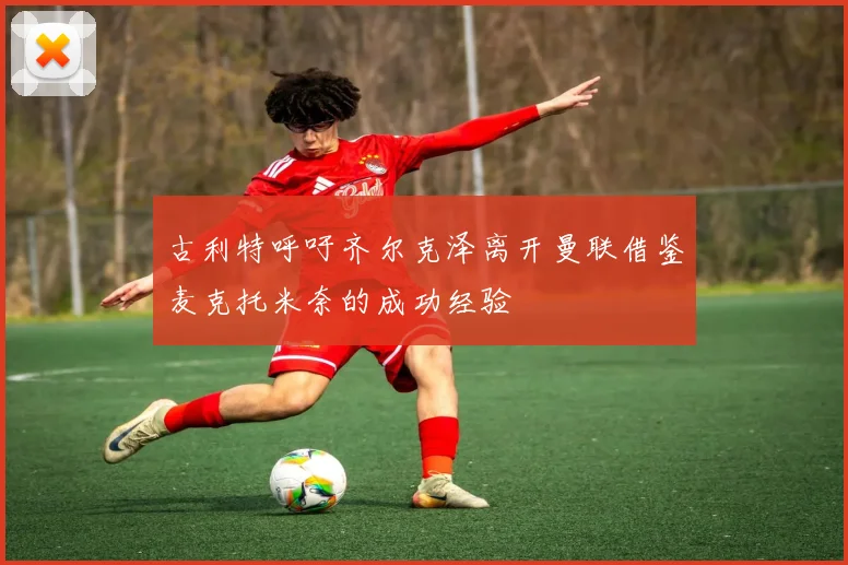 古利特呼吁齐尔克泽离开曼联借鉴麦克托米奈的成功经验